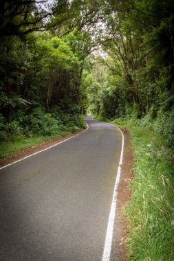 Volkan Mount Taranaki, Kuzey Adası Yeni Zelanda