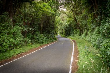 Volkan Mount Taranaki, Kuzey Adası Yeni Zelanda