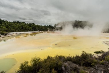 Wai-O-Tapu yakınındaki Rotorua, Yeni Zelanda