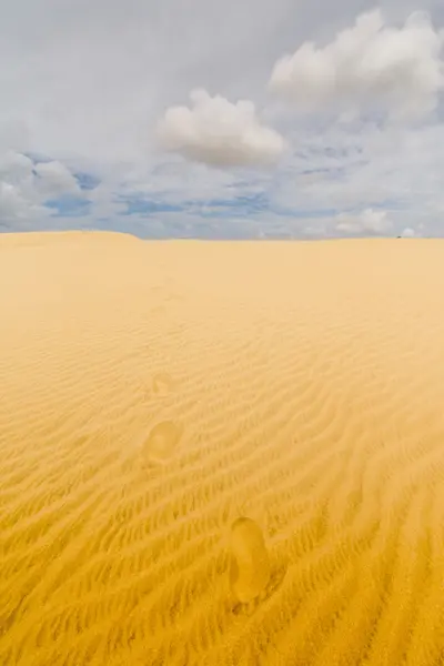 The Giant Dune looks like a desert. North New Zealand. — Stock Photo, Image