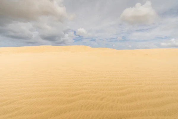 The Giant Dune looks like a desert. North New Zealand. — Stock Photo, Image