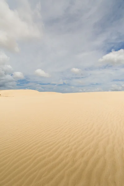 The Giant Dune looks like a desert. North New Zealand. — Stock Photo, Image