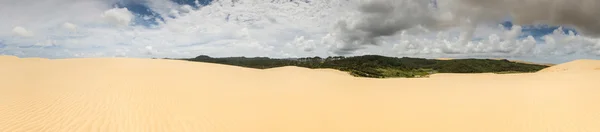 The Giant Dune looks like a desert. North New Zealand. — Stock Photo, Image