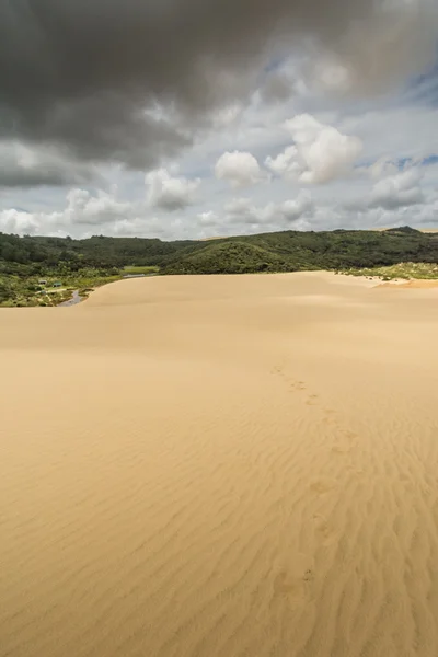 巨沙丘看起来像沙漠。新西兰北部. — 图库照片