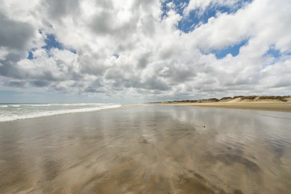 90 Mile Beach. Nova Zelândia Fotografia De Stock