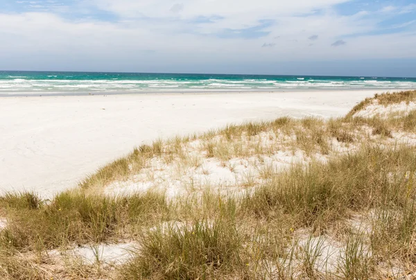 Kijk onderaan een strand van East Cape Nieuw-Zeeland - Pouawa Rechtenvrije Stockfoto's