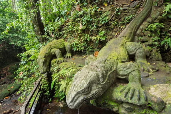 Gigantycznych jaszczurek w Sacred Monkey Forest Sanctuary, Bali, Ubud, Indo — Zdjęcie stockowe
