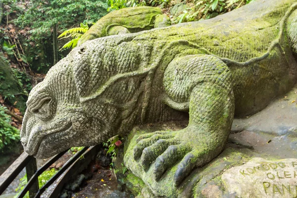 Giant Lizard in Sacred Monkey Forest Sanctuary, Ubud, Bali, Indo — Stock Photo, Image
