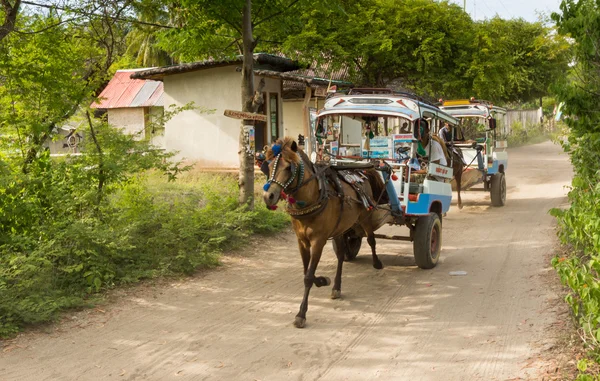 Gilli Air, Indonésie - leden 20:Glli Air Horse Taxi — Stock fotografie