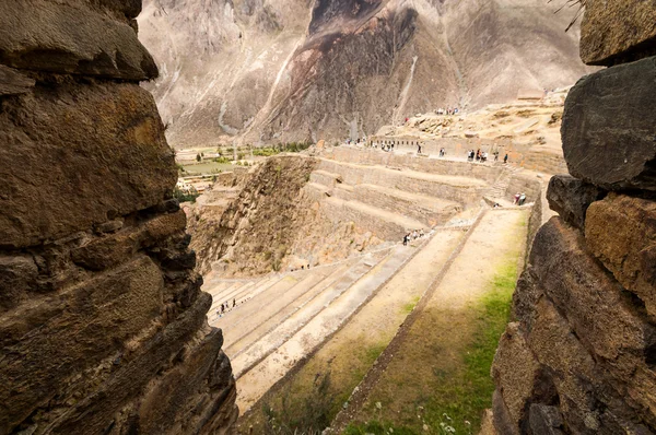 Terrasses de Pisac dans la vallée d'Urubamba près de Cusco (Pérou) ) — Photo