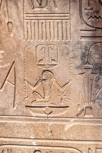 Egy Makró Közeli Felvétel Ősi Egyiptomi Hieroglifákról — Stock Fotó