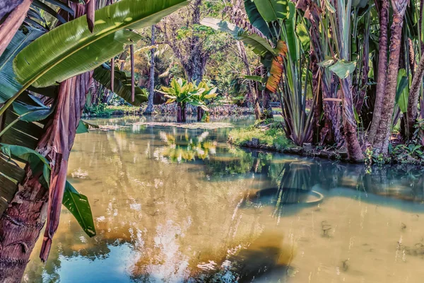 Brezilya 'da güneşli bir günde sakin bir tropikal göl.