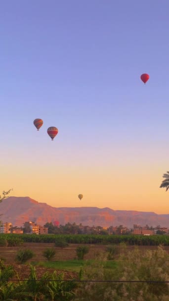 Warme Lucht Ballonnen Zweven Door Lucht Boven Woestijn Luxor Bij — Stockvideo