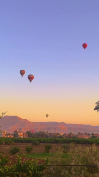 Sıcak Hava Balonları Gün Doğumunda Luxor Çölün Üzerinde Süzülüyor — Stok video