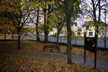 Dundalk, İrlanda: 11 Kasım 2020: Ice House Hill Park Dundalk