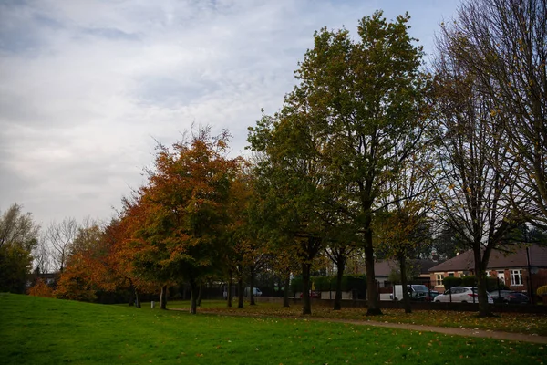 Dundalk, İrlanda: 11 Kasım 2020: Ice House Hill Park Dundalk