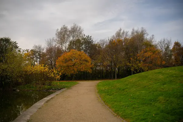 Dundalk, İrlanda: 11 Kasım 2020: Ice House Hill Park Dundalk