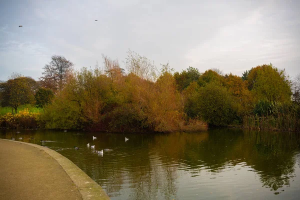 Dundalk, İrlanda: 11 Kasım 2020: Ice House Hill Park Dundalk