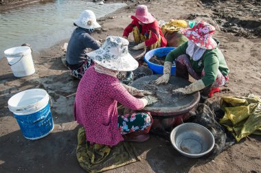 Kadınlar istiridye yumurta filtreleme