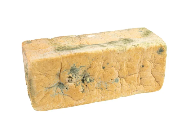Moldy irisan roti roti atas latar belakang putih. Potong tapak — Stok Foto