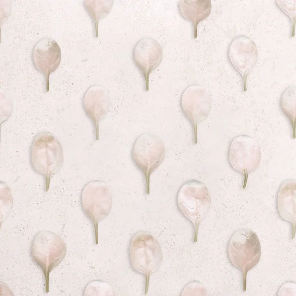 Naturalny Wzór Wykonany Beżowych Liści Pastelowym Beżowym Marmurowym Tle Minimalne — Zdjęcie stockowe