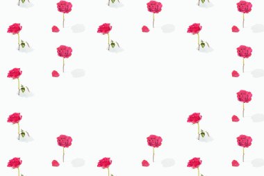 Kırmızı gül yaprakları ve çiçeklerden oluşan çiçek deseni yeşil yapraklı, pastel beyaz arka planda. Kopya alanı olan en az yaz çiçeği dokusu. Kutlama davetiyesi fikri.