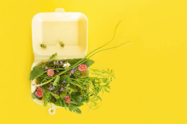 Vahşi yeşil yapraklar, çiçekler ve tomurcuklar açık sarı arka plandaki fast food paketlerinde. Bahar ve yaz yenilebilir bitki konsepti. Kopya alanı ile doğal yaratıcı düzenleme.