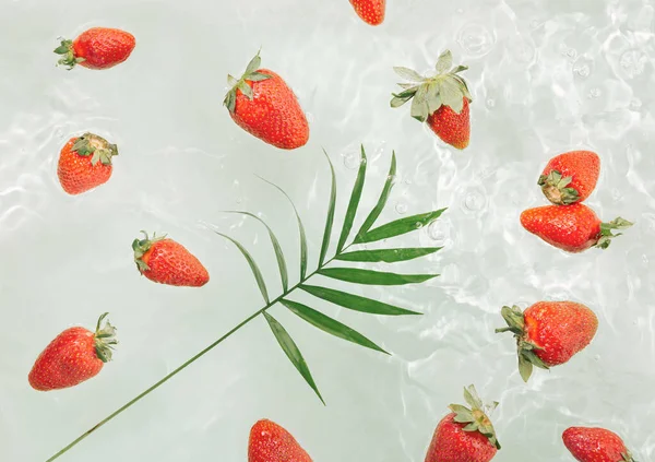 Natuurlijke Zomerfruit Textuur Gemaakt Van Tropische Palmblad Rode Aardbeien Drijven — Stockfoto