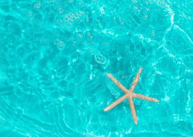 Deniz yıldızından yapılmış doğal yaratıcı arka plan ve turkuaz sudaki güneşin yansımaları. Güneş ve gölgeler. Yaz plajı tatili konsepti. Minimum düzlük.