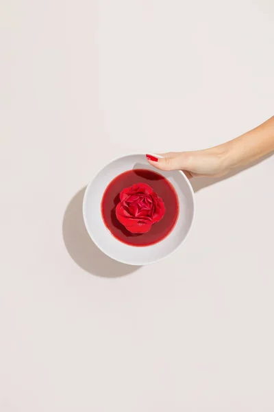 Piękna Kobieca Ręka Czerwonymi Malowanymi Paznokciami Trzyma Miskę Różą Galaretką — Zdjęcie stockowe