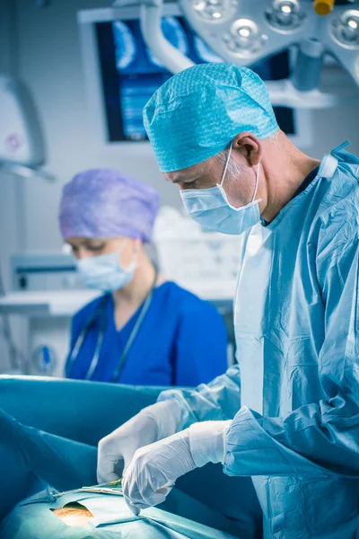 Vertikale Aufnahme eines professionellen Chirurgen, der invasive Operationen an einem Patienten im Operationssaal des Krankenhauses durchführt. Chirurgen benutzen Instrumente. Echt modernes Krankenhaus mit authentischer Ausstattung. — Stockfoto