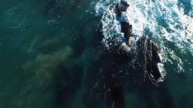 Top Down Hava Aracı: Güzel Turkuaz Okyanusu Büyük Dalgalar Kayalıklar ve Rocky Sahili 'nin Üzerinde Yuvarlanıyor. Dalgaların Kayalara Çarptığı Güçlü Doğa 'nın Görüntü Yönetmeni.