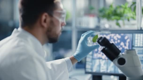 Scienziato che guarda Green Leaf Sample — Video Stock