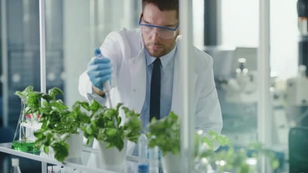 Wissenschaftler fügt Pflanzen mit Pipette im Labor Bio-Nahrungsergänzungsmittel hinzu — Stockvideo