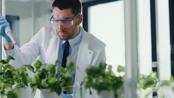 Wetenschapper toevoegen van bio-supplementen aan planten met pipet in het laboratorium — Stockvideo