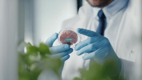 Scienziato guardando Vegan Meat Sample — Video Stock