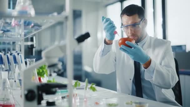 Científico Agregando Suplementos Bio al Tomate en Laboratorio — Vídeos de Stock