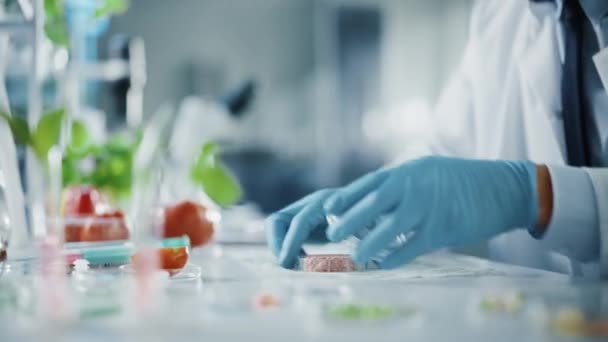 Scienziato guardando Vegan Meat Sample — Video Stock