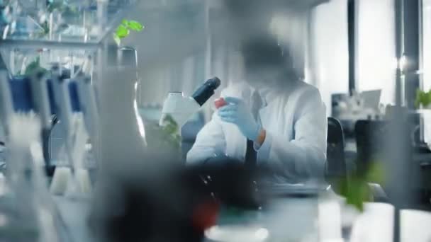 Wissenschaftler untersucht Tomate im Labor — Stockvideo