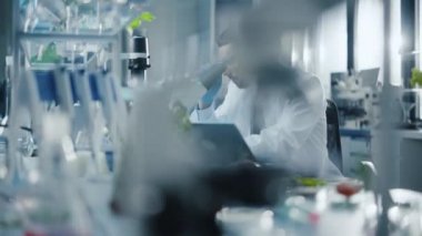 Bilimadamı Laboratuvarda Bir Domates İncelemesi