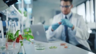 Bilimadamı Laboratuvarda Bir Domates İncelemesi