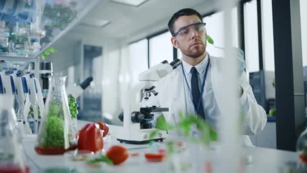 Scienziato che guarda Green Leaf Sample — Video Stock