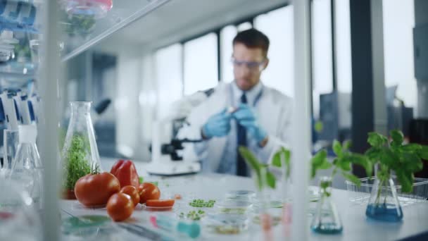 Вчений дивлячись на м'ясний зразок Вегана — стокове відео