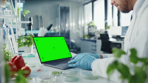 Naukowiec pracujący na laptopie z zielonym ekranem — Wideo stockowe