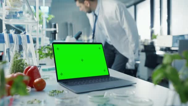 Scienziato che lavora sul computer portatile con schermo verde — Video Stock