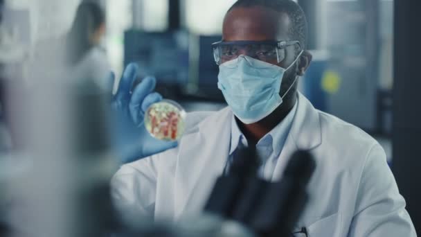 Acercamiento Científico Masculino Negro en Máscara Cara Mirando Muestra en Petri Plato en Laboratorio — Vídeos de Stock