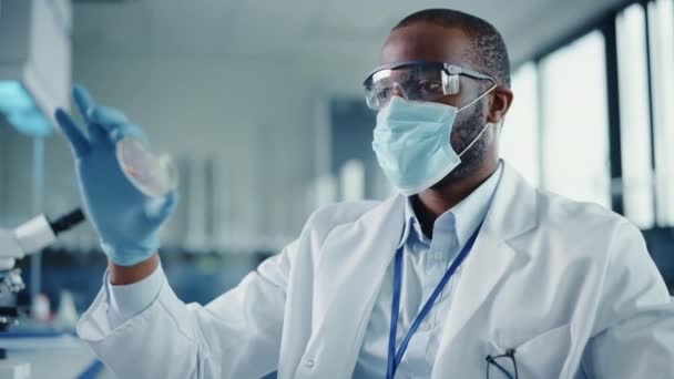 Close Up Black Male Scientist in Face Mask Looking at Sample in Petri Dish in Laboratory — Stok Video