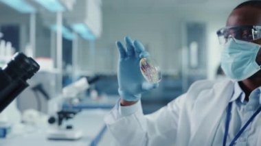 Yüz Maskesi Altındaki Siyah Erkek Bilim Adamı Laboratuvardaki Petri Çanağında Örneklere Bakıyor