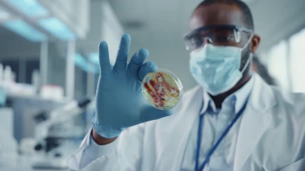 Close Up Black Maschio Scienziato in Maschera Guardando Campione in Piatto di Petri in Laboratorio — Video Stock
