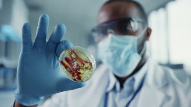 ( 영어 ) Close Up Black Male Scientist - Face Mask Looking at Sample in Petri Dish in Laboratory — 비디오